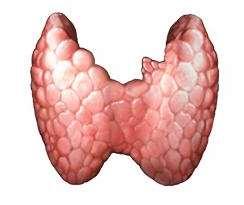 Well Differentiated Nearly All Curable Thyroid Cancer Poorly