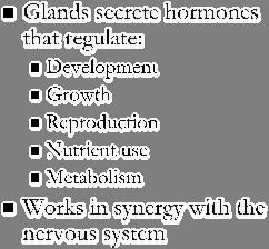 Endocrine System Glands secrete