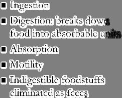 food into absorbable units