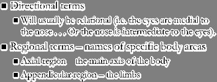Gross Anatomy Terminology Directional terms Will usually be relational (i.e. the eyes are medial to the nose.