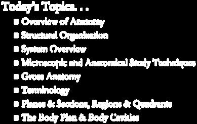 .. Overview of Anatomy Structural Organization System Overview