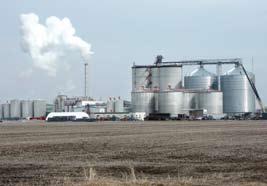 ETHANOL AND DDGS OVERVIEW 98% of Dried Distillers Grains with Solubles (DDGS) in North America is produced from Ethanol plants for oxygenated fuels 33+ million metric tons of DDGS are produced in