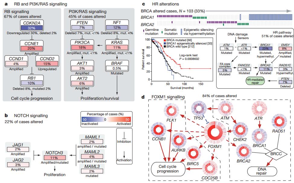 Genomic alterations of ovarian cancers PARP inhibitor PI3K inhibitor Wee1 inhibitor Best Pract