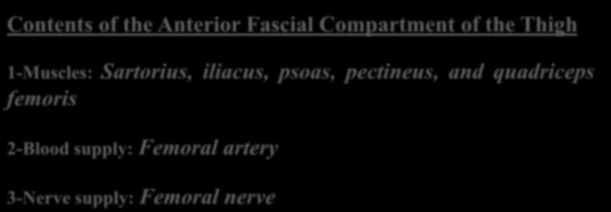 divide the thigh into three compartment; Anterior Posterior Medial.
