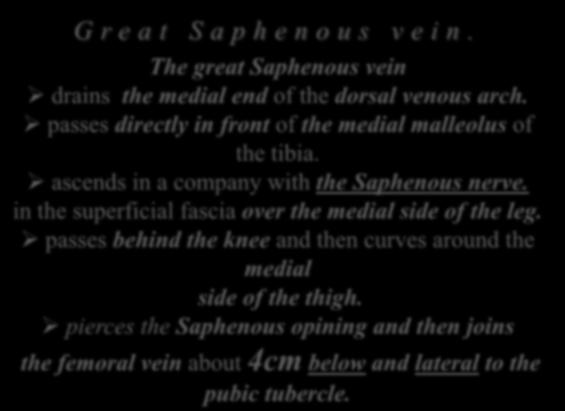 The great Saphenous vein drains the medial end of the dorsal