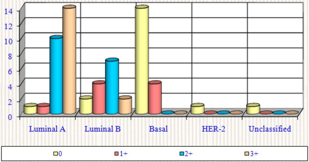 % cases, the rest being +. HER-type tumors and unclassified were classified the score (Table 3).