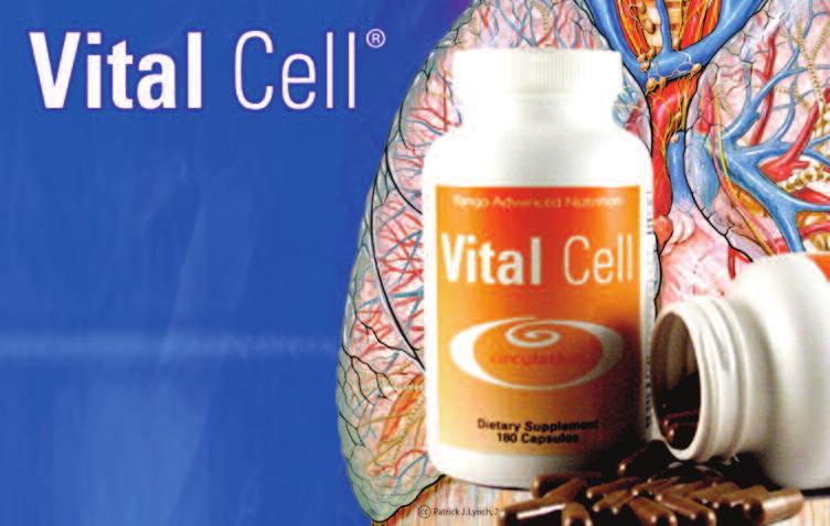 microcirculation, and support healthy internal organ functions.