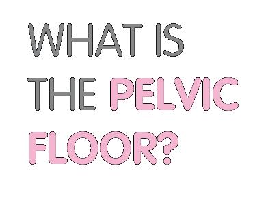 The pelvic floor is a system of muscles, ligaments, and tissues that keep