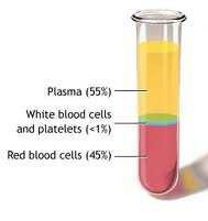 BLOOD CONTENTS AND THEIR FUNCTIONS 1.. Blood consists of; a. blood plasma b. red blood cells c. white blood cells d. platelets (blood clotting cells) a.