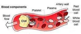 Plasma is the fluid component of blood which is light yellow.