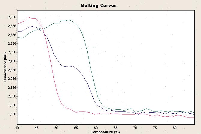 Slika 3-3 Analiza krivulja taljenja CYP2C