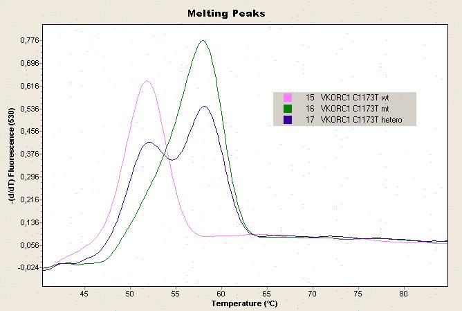 Slika 3-5 Analiza krivulja taljenja VKORC1-1639G>A Analiza VKORC1-1639G>A (rs9923231): Kanal F2 (640 nm);