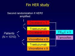 Adjuvant Trastuzumab trials HERA Observation NSABP B-31 4 x AC 4 x paclitaxel 175 mg/m 2 2 HER2+ (IHC or FISH) Accepted CT: AC, EC, FAC, FEC, ET, AT, CMF HER2+ 1 year Trastuzumab (IHC or FISH) 2