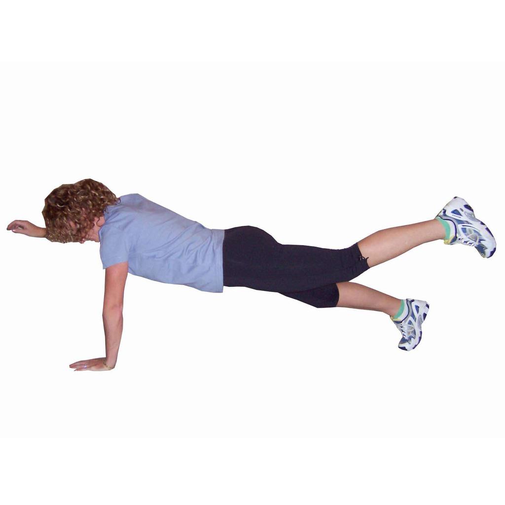 Plank - One Arm & One Leg Body supported in push up position Ankle, hip and shoulder in alignment Maintain
