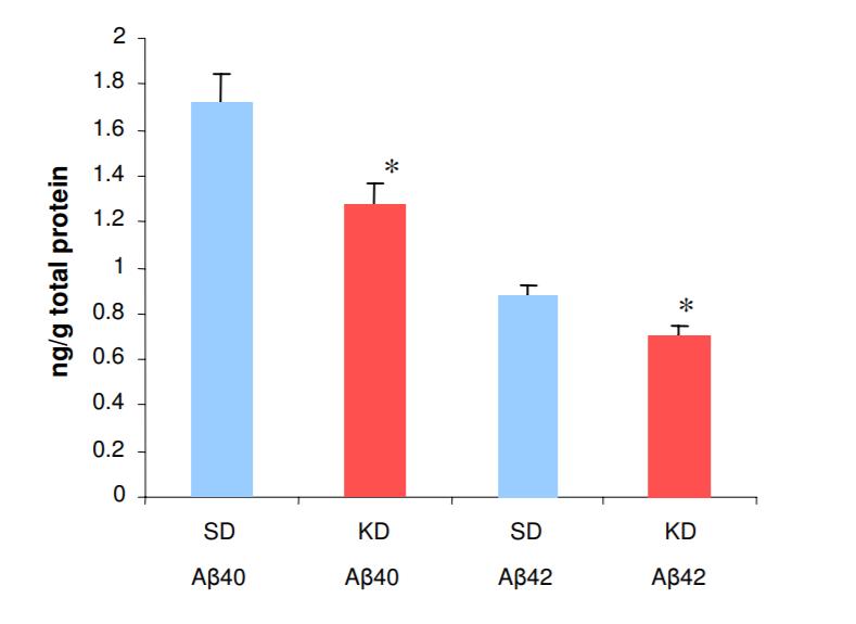 Ketogenic diets in animal models of AD No behavioral effects between mice Aβ levels much lower in ketone diet mice Unexpected that a brief ketone