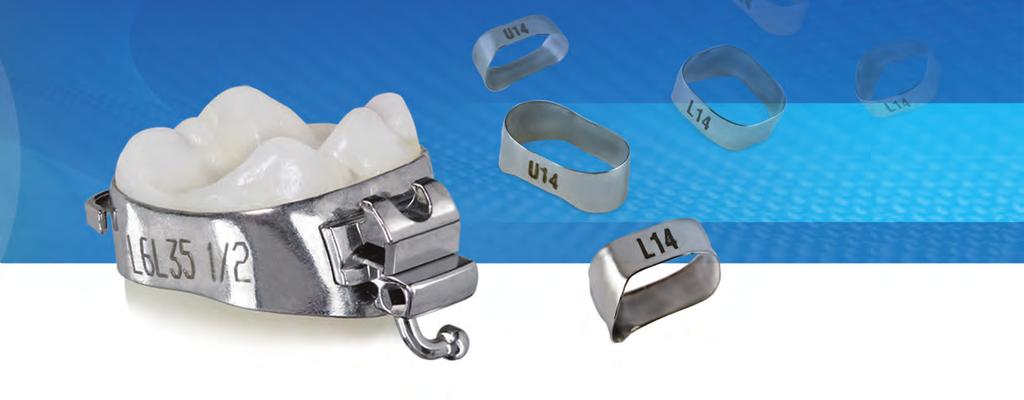 MOA BANDS TruFit 2.0 Molar Bands See page 60 Ask your Sales epresentative for details Upper First and Second Molar Band Sizes Ortho Technology 37 37.5 38 38.5 39 39.5 40 40.5 41 41.5 42 42.5 43 43.