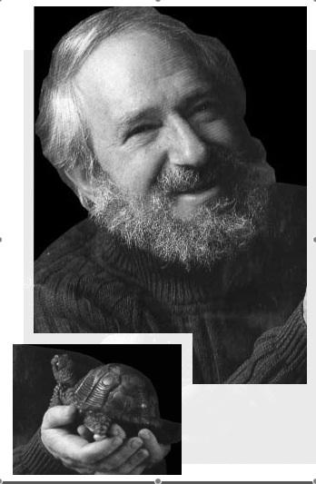 Seymour Papert tõi LOGOga Piaget ideed arvutitesse Töötas