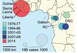 Disease emergence: a case study Ebola Virus
