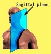Sagittal Plane A vertical
