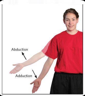 Terms Used to Describe Movement Flexion is the action of bending at a joint such that the joint angle decreases (e.g., when you bend your elbow to bring your palm up towards your face).