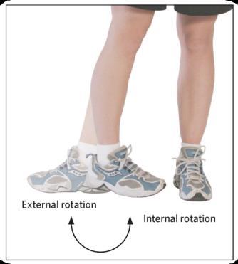 Terms Used to Describe Movement Inversion is associated with the ankle joint.