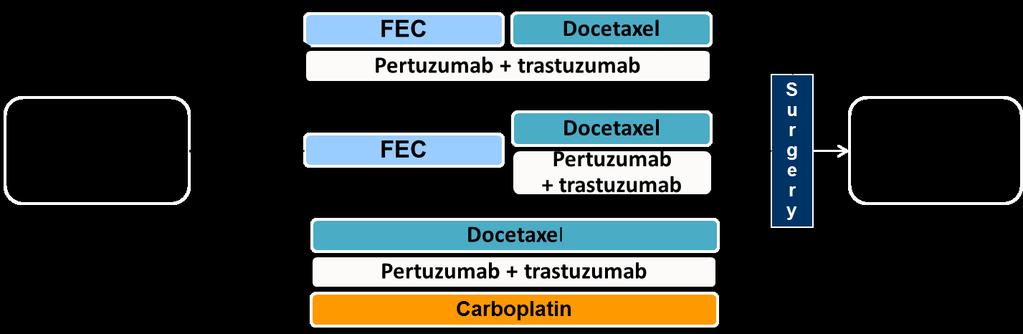 TRYPHAENA trial Study design All 3 arms were experimental Study dosing q3w: FEC: 500 mg/m 2, 100 mg/m 2, 600 mg/m 2 Carboplatin: AUC 6 Trastuzumab: 8 mg/kg
