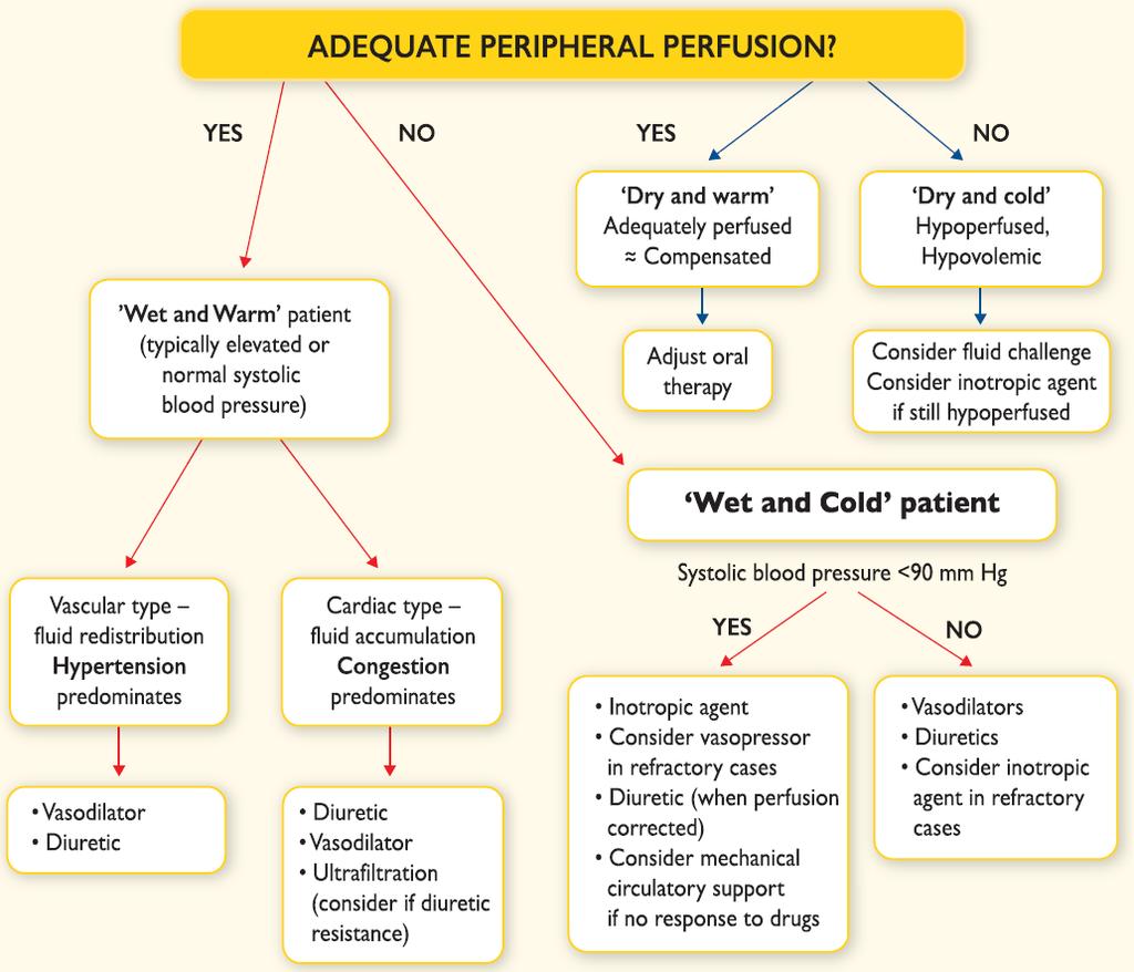Management of patients with acute heart failure