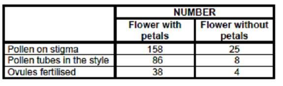 2.3 Study the investigation below and answer the questions. An investigation was done to determine the role of petals in insect pollination in apple flowers.