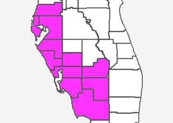 ATTACHMENT 5 SUNCOAST REGION AUXILIARY AIDS AND SERVICES Circuit 6 Pasco and Pinellas Counties Circuit 12 Manatee, Sarasota, and Desoto Counties