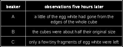 Into beaker B, she put 50 cm 3 pepsin solution and a cube of egg white which had been cut into eight small cubes.