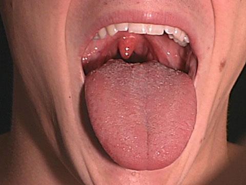 MOUTH (Oral Cavity) *receives food and begins digestion Tongue: -rough projections