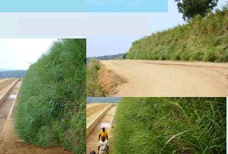 DR CONGO: Road Batters (Roley Noffke ) On 60-70 vertical slope using Green TerraMesh
