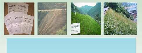 Based on the above technical data, vetiver system has been used very effectively in stabilising extreme and highly erodible slopes around the world