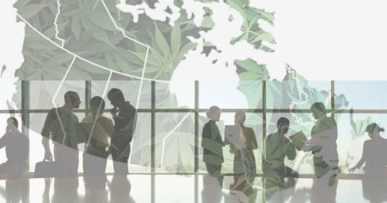 Cannabis Task Force Committee Leverage professional networks to develop a cannabis task force/committee/peer group Utilize industry experts, regulatory relationships & professional