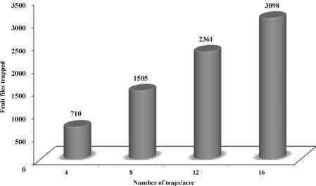 Abundance and management of fruit flies on peach 137 Table 1. Population of Bactrocera spp.