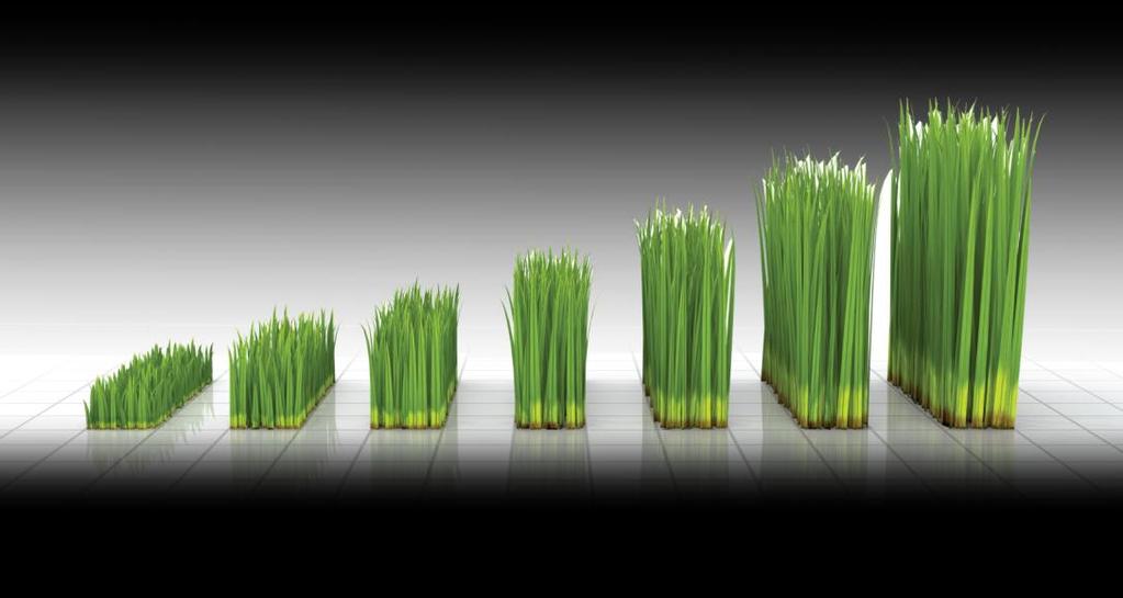 The benefits of controlled release nutrition Optimal Plant Development - Nutrients are precisely supplied in accordance with specific plant needs Multicote