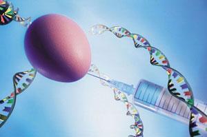 What is PGD Genetic Testing We have to do IVF first One or two cells from an