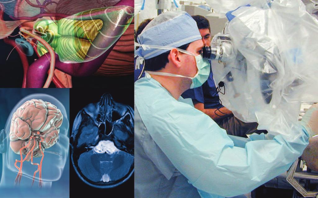 Microneurosurgical and Endoscopic Approaches to the Skull Base December 11-13, 2014