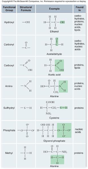 3 Biological Molecules Isomers are molecules with the same chemical formula.
