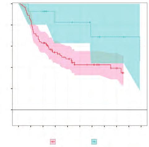 Overall survival (OS) by histological subtype in all 106 patients in our cohort (P=0.06). 1.0 0.8 0.6 0.4 0.2 0.
