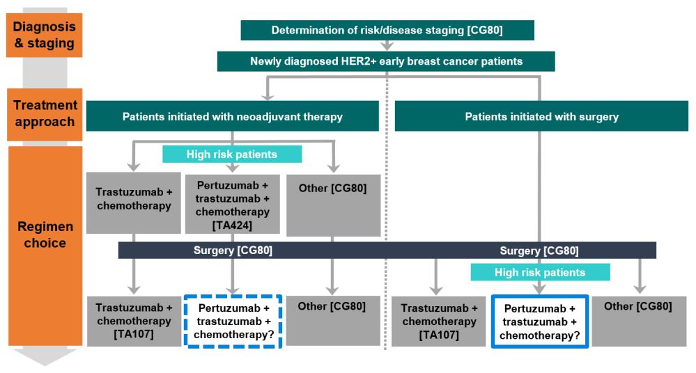 How is HER2-positive breast cancer treated? Summary of the clinical care pathway and proposed placement of adjuvant pertuzumab (adapted from figure 1 in section B.1.3.