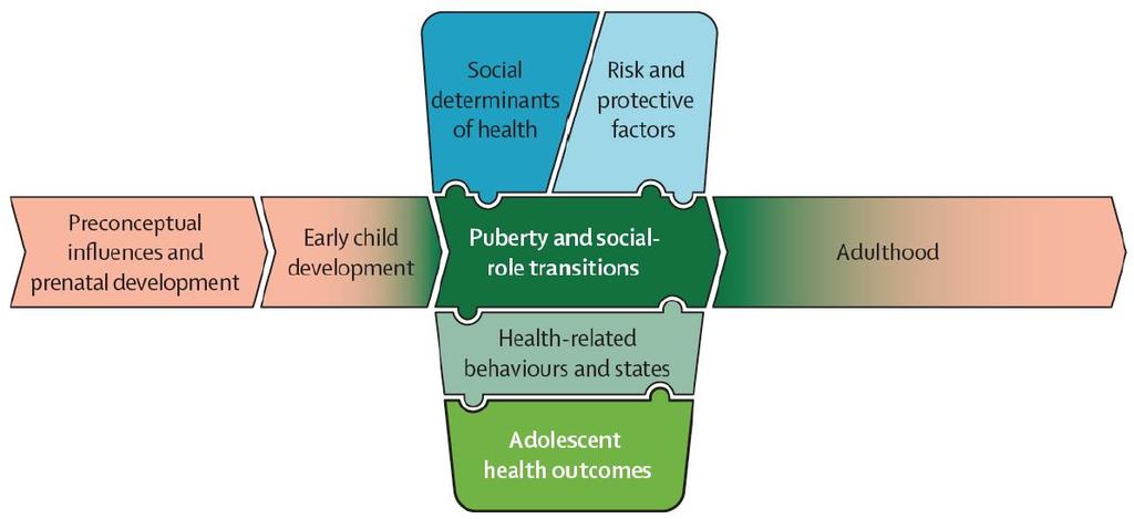AGE DEVELOPMENTAL FRAMEWORK Early Adolescence 10-14 years Late Adolescence 15-19 years Young Adulthood 20-24 years In