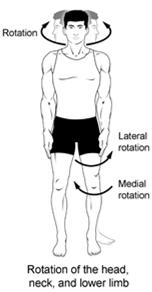 a body part away from the midline Circumduction: moving in a circle at a joint or moving