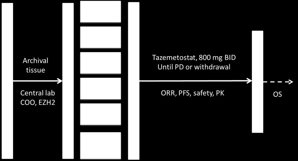 Tazemetostat 2013 Ongoing Accomplishments Phase 2 NHL Study Design Study designed to assess clinical activity and safety of tazemetostat in five NHL subtypes and determine potential registration path