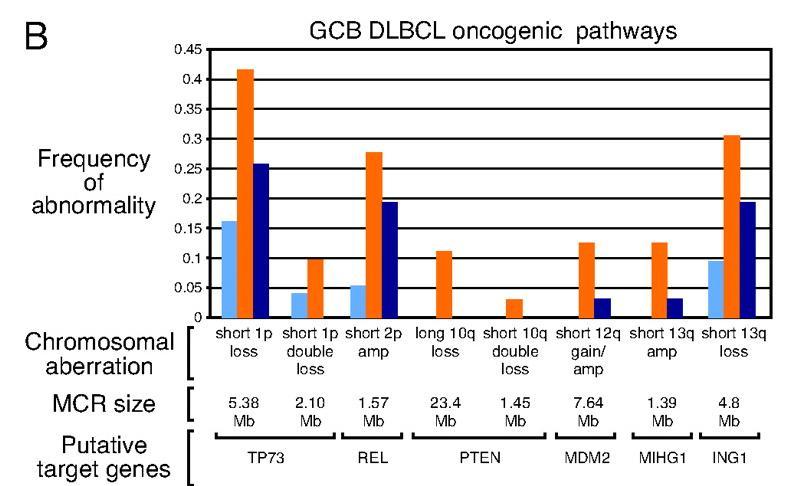 Distinct genomic abnormalities in ABC vs GCB (Lenz et al 2008) CGB Mir-17-92 amp REL amp