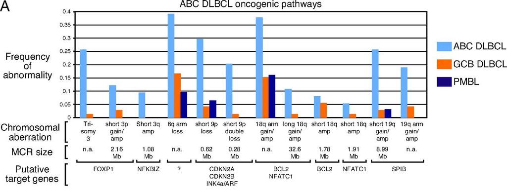 MALT1, NFAT2 CDKN2A/B, INK4A/ARF loss SPIB gain/amp BCL2-R BCL6-R BCL6 mut TP53 mut TP53 del