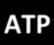the last two phosphates in ATP ATP