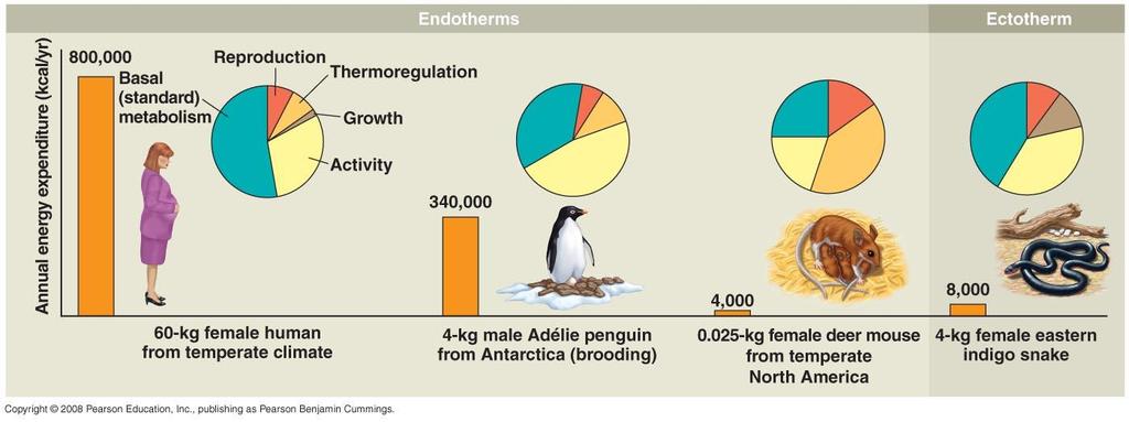 4. The chart below compares the annual energy expenditures for various functions of several animals.
