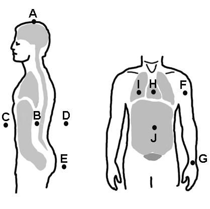 Use this image to answer the following questions, using the options given BELOW each statement "A" is to "B" Superior Inferior Ventral Dorsal "B" is to "A" Superior Inferior Proximal Distal "C" is