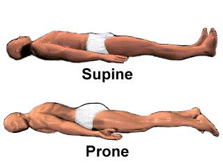 Supine position: lying on the back. Prone position: lying face down.